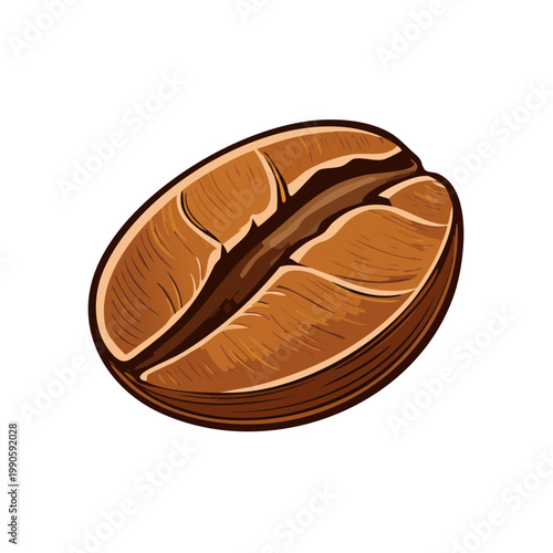 Detailed illustration of a single roasted coffee bean with its characteristic groove