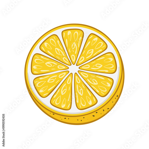 Vibrant yellow lemon slice illustration with bright white segments and textured rind