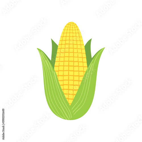 Fresh Yellow Corn Cob With Green Husks Illustration Simple Flat Design