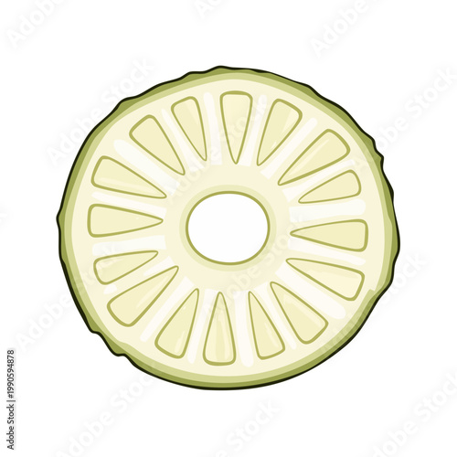 Cross section of a sliced pineapple ring with textured rind and segmented flesh detail