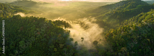 Breathtaking aerial view of the sun rising over a mountain valley covered in a dense sea of rolling clouds. The golden light illuminates the mist, creating a dramatic and ethereal atmosphere