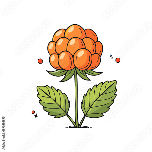 Illustration of a single Arctic bramble berry plant with orange fruit and green leaves