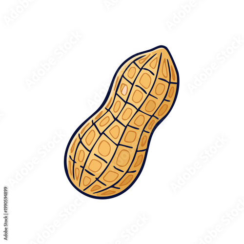 Simple Hand Drawn Illustration of a Single Peanut in its Shell