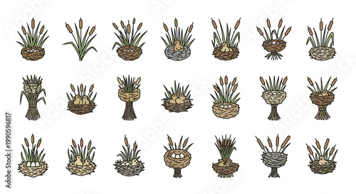 Collection of various potted plants and flowers.