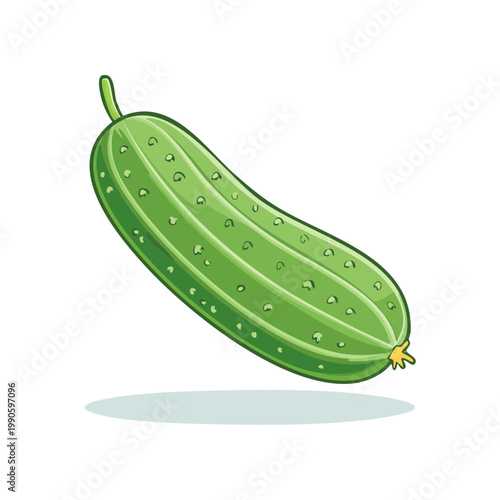 Fresh green cucumber with bumpy skin and a stem illustration