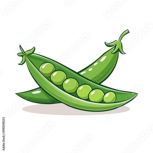Vibrant illustration of two open pea pods showcasing plump green peas with delicate leaves and stems