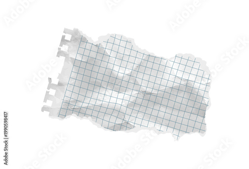 Paper rip torn corner piece with isolated blue grid scrapbook. Old angle letter template of crumpled wrinkled checkered copybook texture notebook for school collage. Vector illustration.