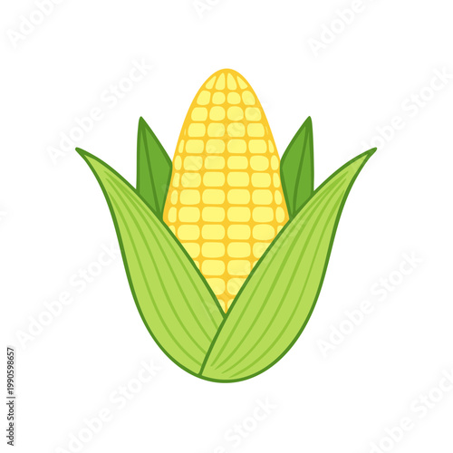 Fresh yellow corn cob with green leaves illustration