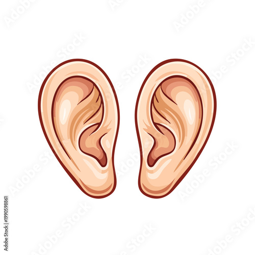 Two Human Ears Detailed Illustration Close Up Isolated On White
