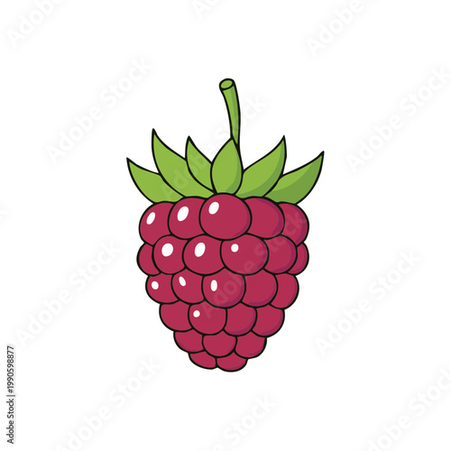 Fresh ripe raspberry fruit illustration with green leaves on a white background
