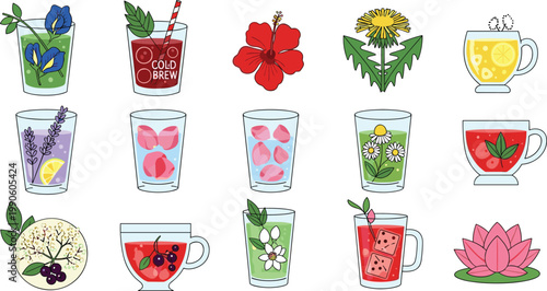 Refreshing Floral and Botanical Beverage Vector Illustration Set Featuring Lavender Soda Hibiscus Tea Rose Petal Infusion Chamomile Drink and Jasmine Green Tea for Wellness Menus