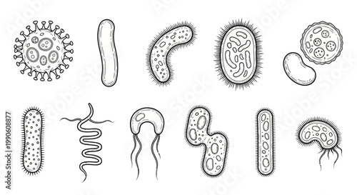 Collection of Different Microorganisms and Bacteria Illustrated in a Scientific Sketch Style
