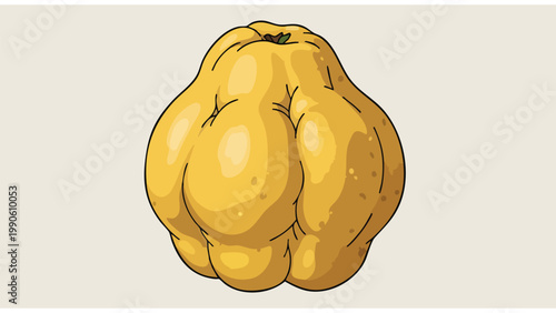 Yellow Quince Fruit Illustration, Whole Organic Quince, Food Ingredient Art