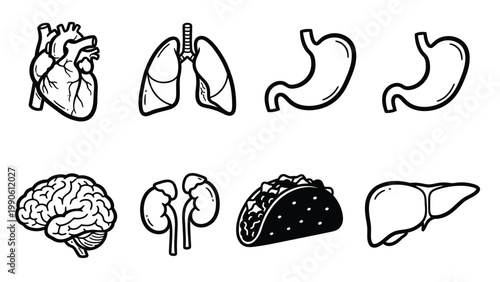 Black and White Vector Icons: Human Organs (Heart, Lungs, Brain, Kidneys, Liver, Stomach) and a Taco