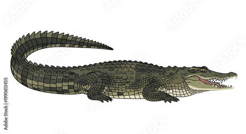 Large crocodile with open mouth 1.