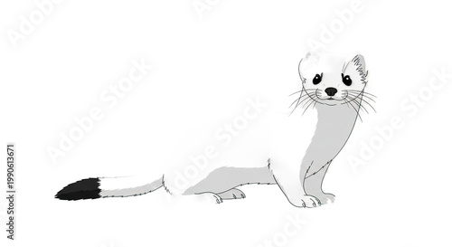 Illustration of a cartoon ferret.