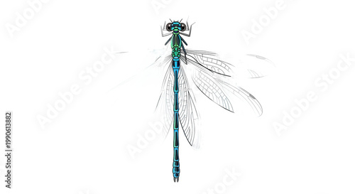 Closeup of a green dragonfly insect.