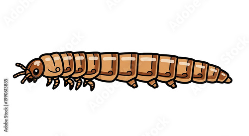 Brown Caterpillar Insect Closeup Side View.