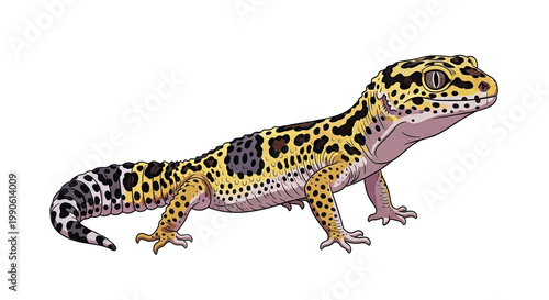Colorful Leopard Gecko Reptile Animal.
