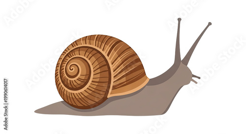 Brown Snail Moving Slowly Forward.