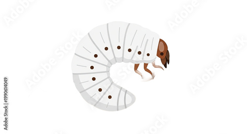 Caterpillar insect with white body.