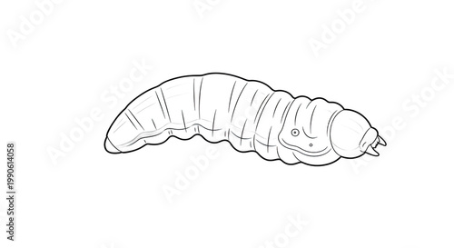 Insect Larva Caterpillar Worm Closeup.