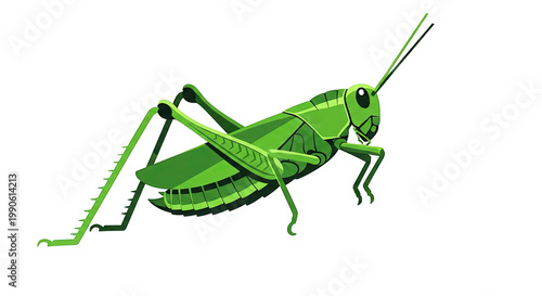 Green Grasshopper Insect Close Up.