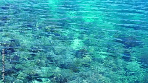Crystal Clear Tropical Ocean Water Over Rocky Coral Seabed - 4K footage