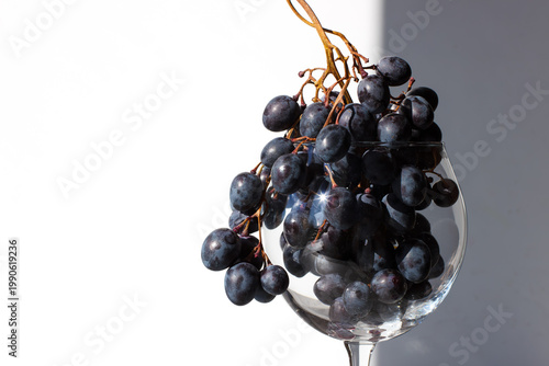 Red grapes in a glass. Glass of wine on a white background. Winemaking. From grapes to wine. Horizontal photo with space for text