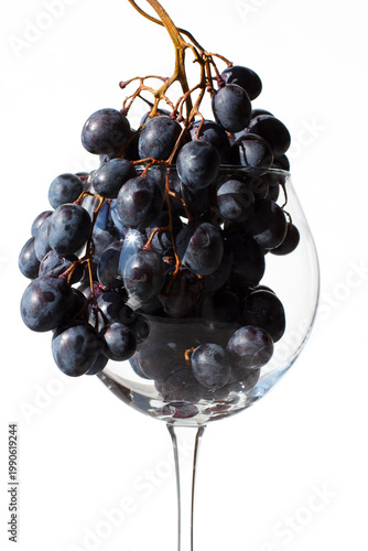 A glass filled with grapes. Light photo, white background. Winemaking. From grapes to wine