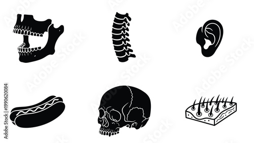 Black Silhouette Icons: Human Anatomy (Jaw, Spine, Ear, Skull, Skin) and Hot Dog. Medical & Food Vector Illustrations.