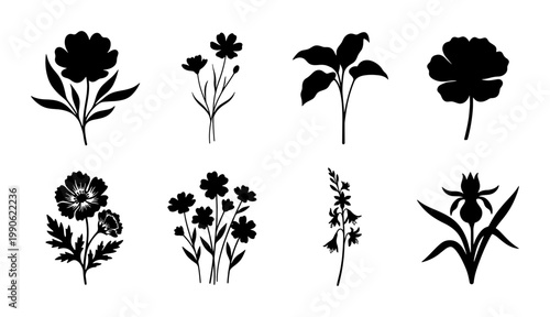 Black floral silhouettes collection, 8 botanical flower vector elements, minimalist garden plant shapes, decorative wildflower icons for branding