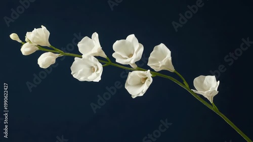 White Flowers Bouquet with Stems
