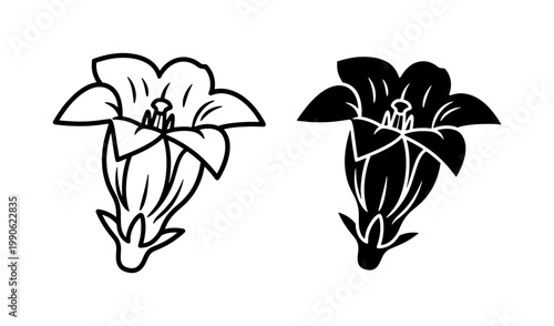 Bellflower Outline and Silhouette Vector Illustration