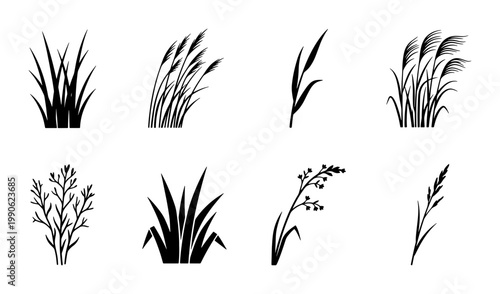 Black grass silhouette collection, 8 botanical reed and meadow plant icons, minimalist wild herb vector set for landscape design and nature branding