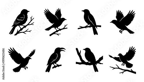 Black bird silhouette collection, set of 8 flying and perched songbird icons, minimalist crow and raven vector shapes for nature logos and wildlife design