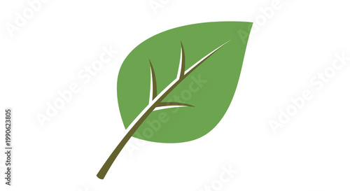 A simple, stylized green leaf with a brown stem and veins on a white background