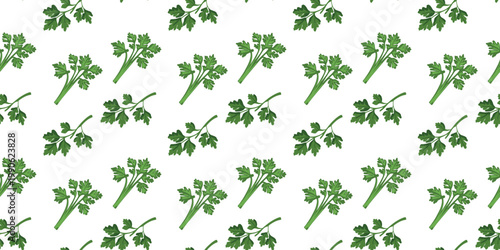 organic parsley seamless pattern on white background