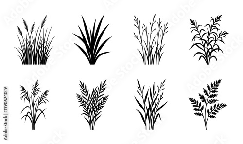 Black grass silhouette vector set, botanical wild meadow plants collection, 8 minimalist reed and fern leaf icons, natural field flora elements