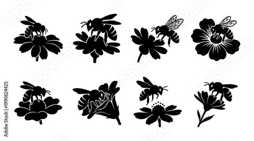 Honey bee silhouette set with 8 vector icons, bumblebee on flower garden illustrations, black insect and floral nature silhouettes for logo design