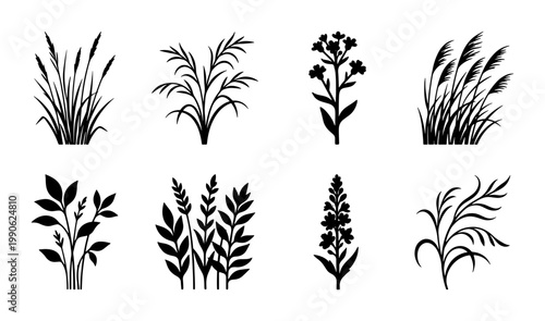 Foto Black grass silhouettes set, botanical wild plant vector icons, 8 organic meadow