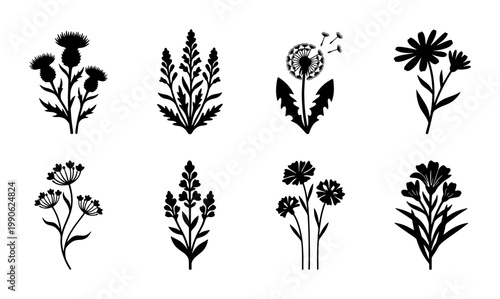 Black floral silhouettes set of 8 wild flower icons, botanical meadow plant vector illustrations, minimalist garden weed and herb stencils for logo design