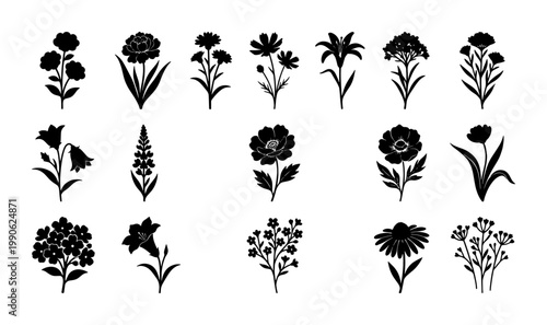 Black floral silhouettes collection, 17 botanical flower icons set, minimalist garden plant vector illustrations for wedding stationery and logo design
