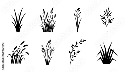 Black grass silhouettes set, 8 botanical vector icons of wild meadow plants, minimalist floral weed and reed elements for landscape design