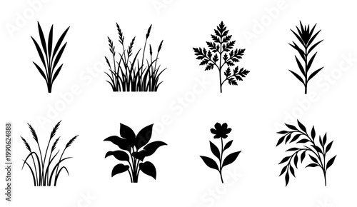 Black botanical silhouettes of wild grass and garden plants, set of 8 floral vector icons, minimalist nature leaf and flower elements for landscape design