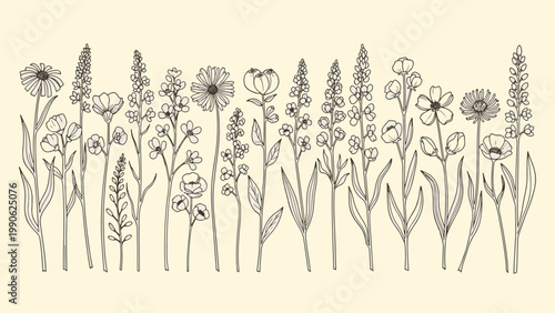 Diverse collection of botanical wildflower illustrations in monochrome