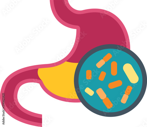Stomach organ showing microorganisms and bacterial flora in a magnified view