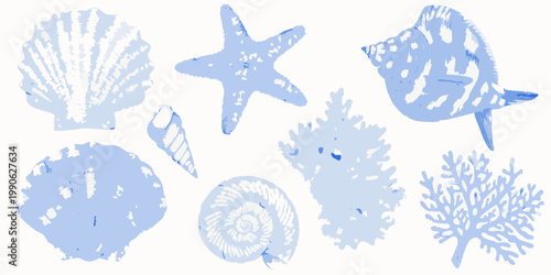 Delicate blue illustrations of seashells coral and a starfish
