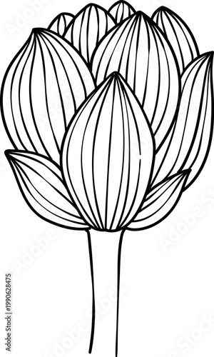 Hand-drawn lotus flowers , black and white vector illustration in linear style, isolated on white background. Botanical floral collection for coloring books, wedding invitations, and zen design.