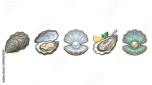 Oysters and clams with pearls and seafood elements are depicted in a colorful illustration showcasing various forms of shellfish, from raw to served, and decorative.